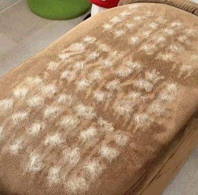 Buy 1 Get 1 Free🔥Pawzioo™ Electrostatic Pet Hair Removal Grooming Gloves